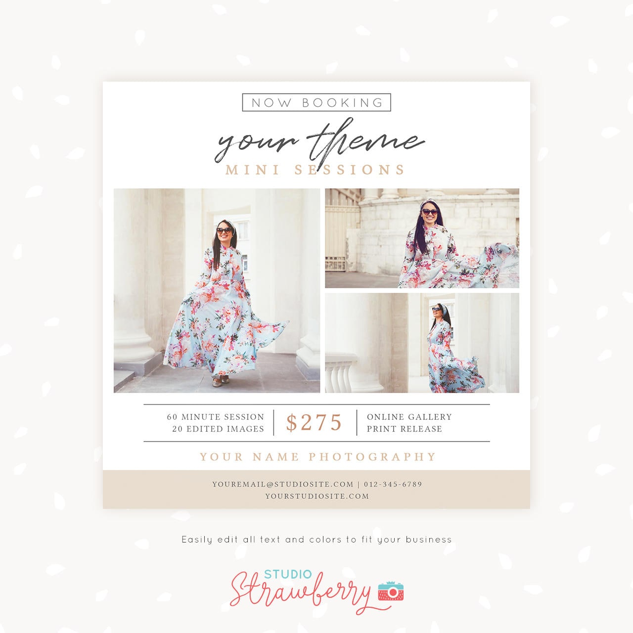 Mini Session Template, Photography marketing, Photoshop template, Classic mini sessions template, Editable marketing board, photo sessions