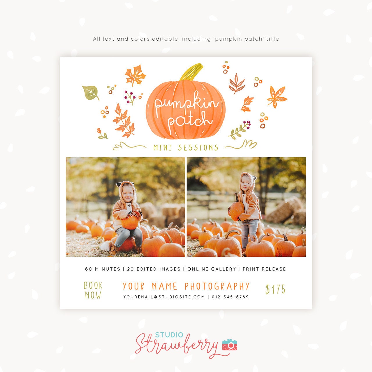 Pumpkin mini sessions, Pumpkin Patch mini session, Pumpkin stand, Fall Mini Session Template, Photography marketing, Autumn Photoshop PSD
