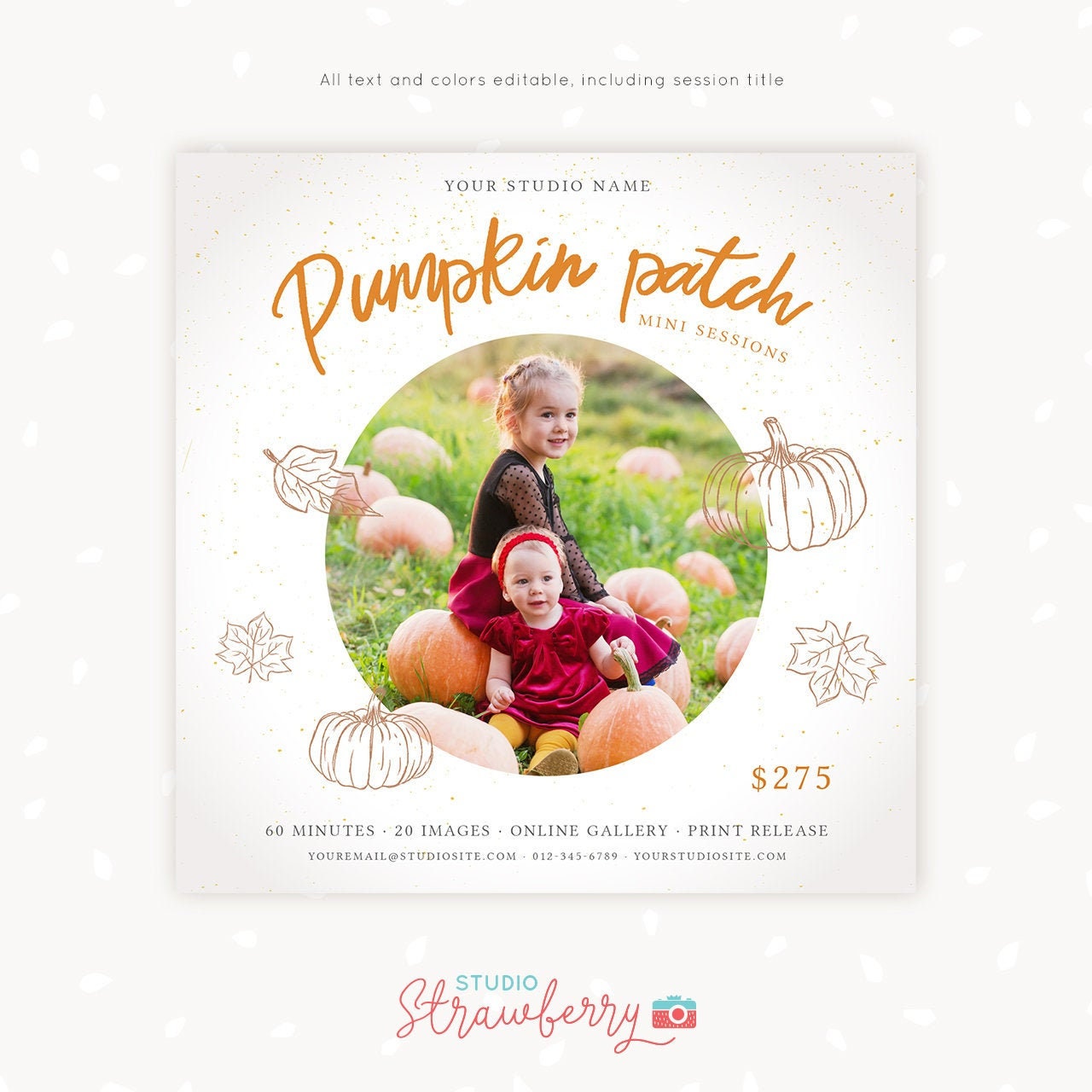 Pumpkin mini sessions, Pumpkin Patch mini session, Pumpkin stand, Fall Mini Session Template, Photography marketing, Autumn Photoshop PSD