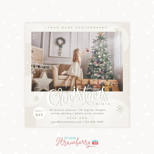 Christmas Mini Session Template: "White Christmas", Christmas marketing board, White Silver Christmas template, Xmas Mini sessions
