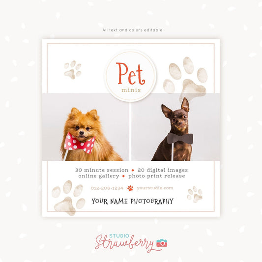 Pet Mini Session Template, Pets Mini sessions, Animal mini sessions, Dogs, Cats, Pets Photography marketing, pets mini sessions template