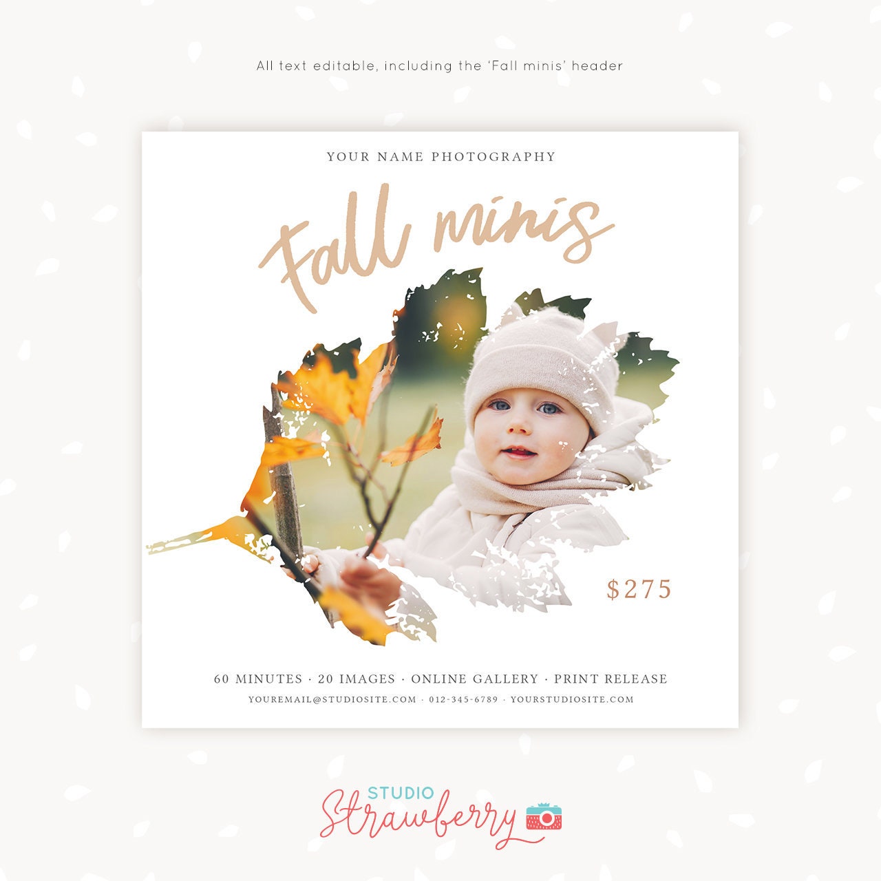Fall Mini Session Template, Autumn mini sessions, Fall photography, Fall Photoshop template, Autumn photography, Fall minis, Autumn minis