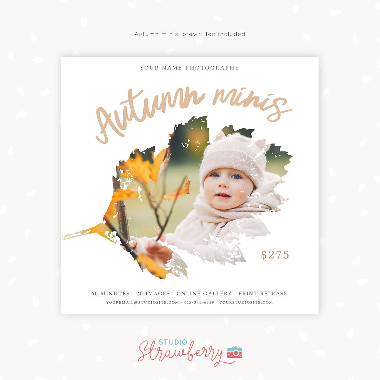Fall Mini Session Template, Autumn mini sessions, Fall photography, Fall Photoshop template, Autumn photography, Fall minis, Autumn minis