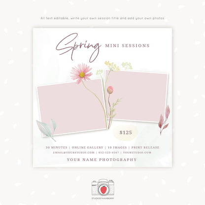 Spring Mini Session Template, Spring minis, Spring Photography Sessions Marketing Board, Photoshop Template, Spring Mini Sessions Template