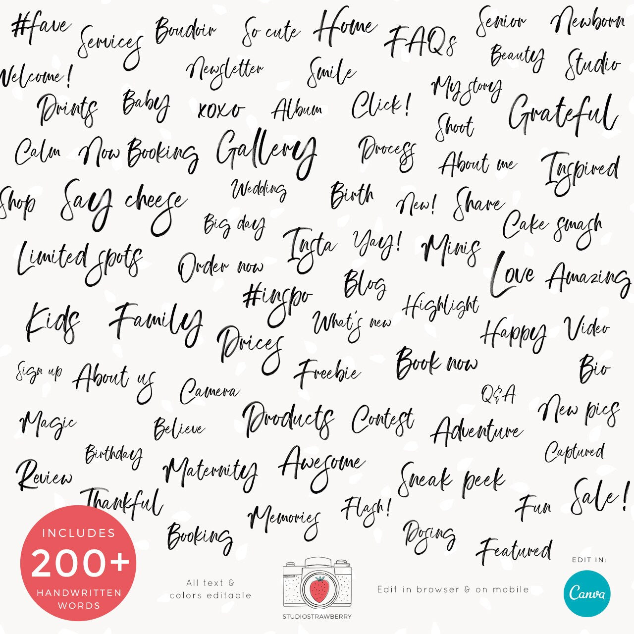 Photographer instagram story templates, Photography instagram template, Instagram story photographers, Canva instagram story template C06