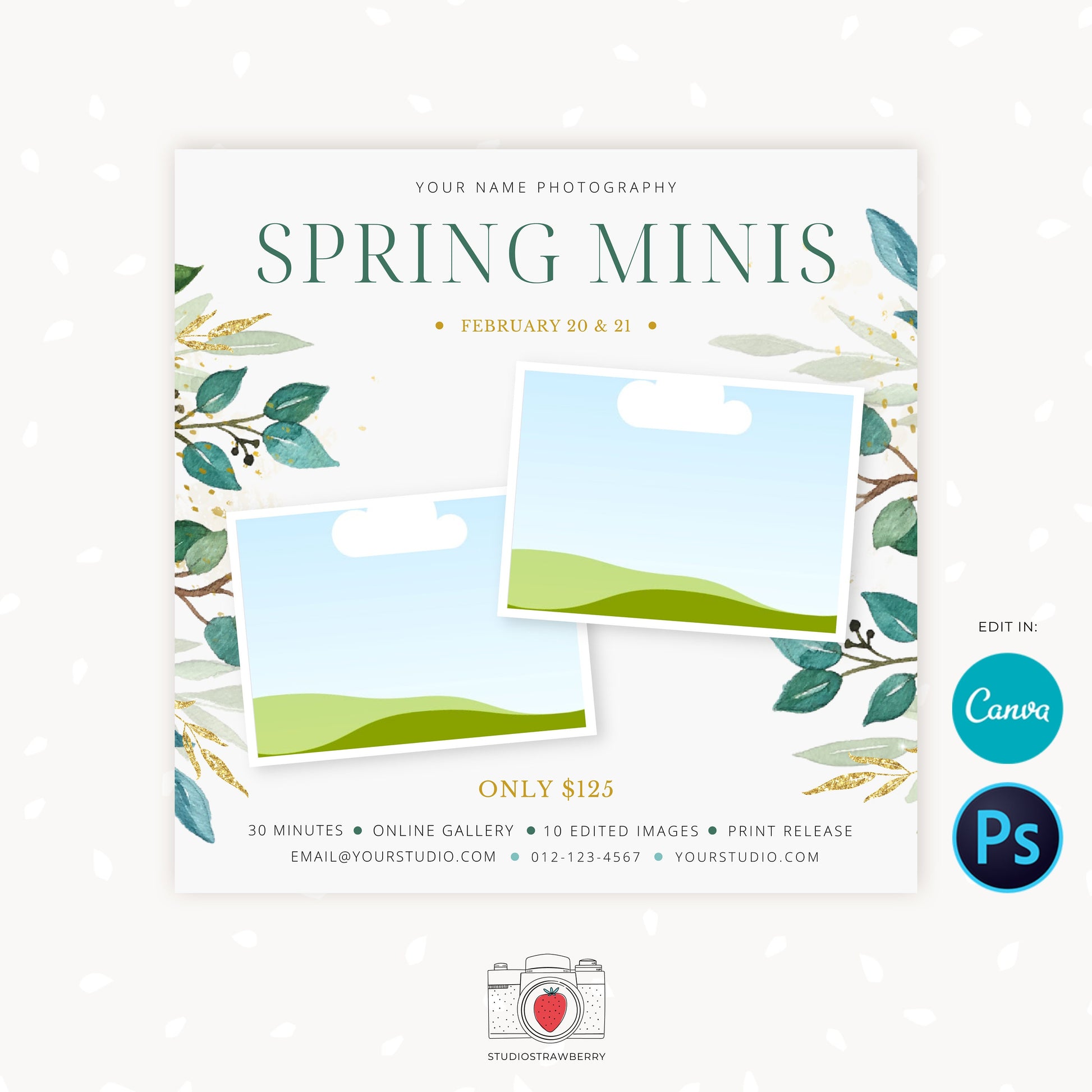 Spring Mini Sessions Template, Canva, Photoshop, Spring mini session template, Spring minis, Spring photo sessions, Spring flowers, Editable