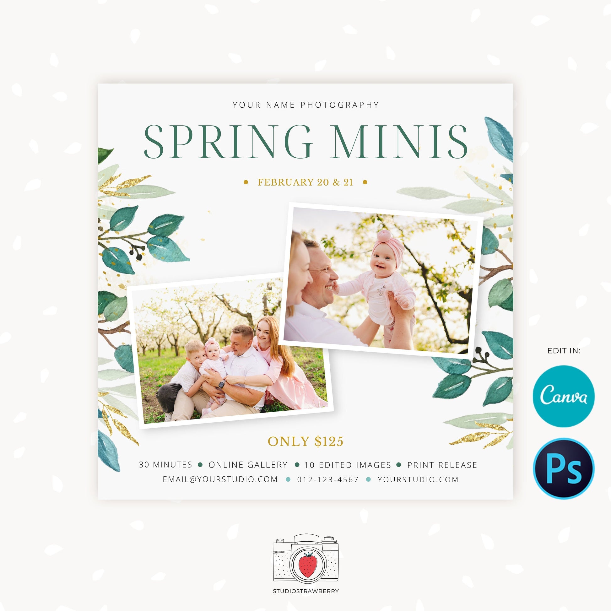 Spring Mini Sessions Template, Canva, Photoshop, Spring mini session template, Spring minis, Spring photo sessions, Spring flowers, Editable