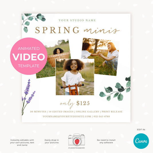 Animated Spring mini sessions template, fully editable in Canva, Spring minis video template, Instagram video post for photographers