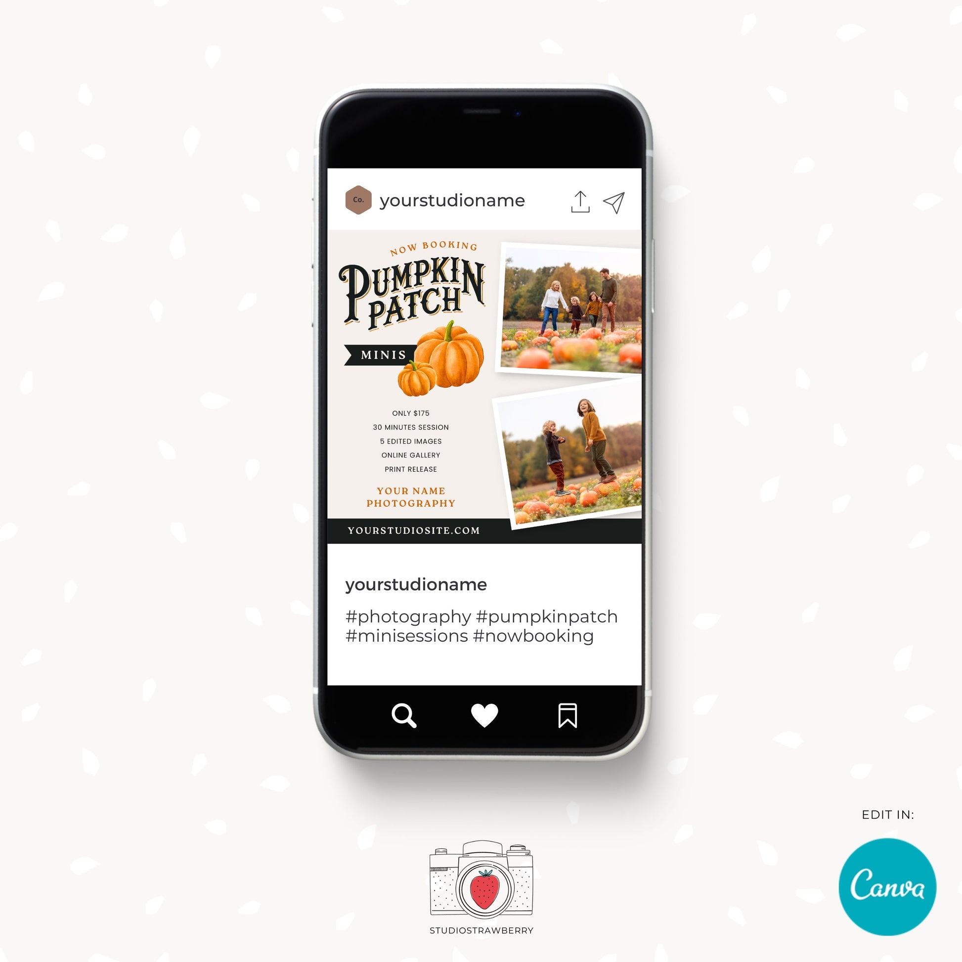 Editable Pumpkin Patch Mini Sessions Template | Customizable Canva Design for Fall Photography