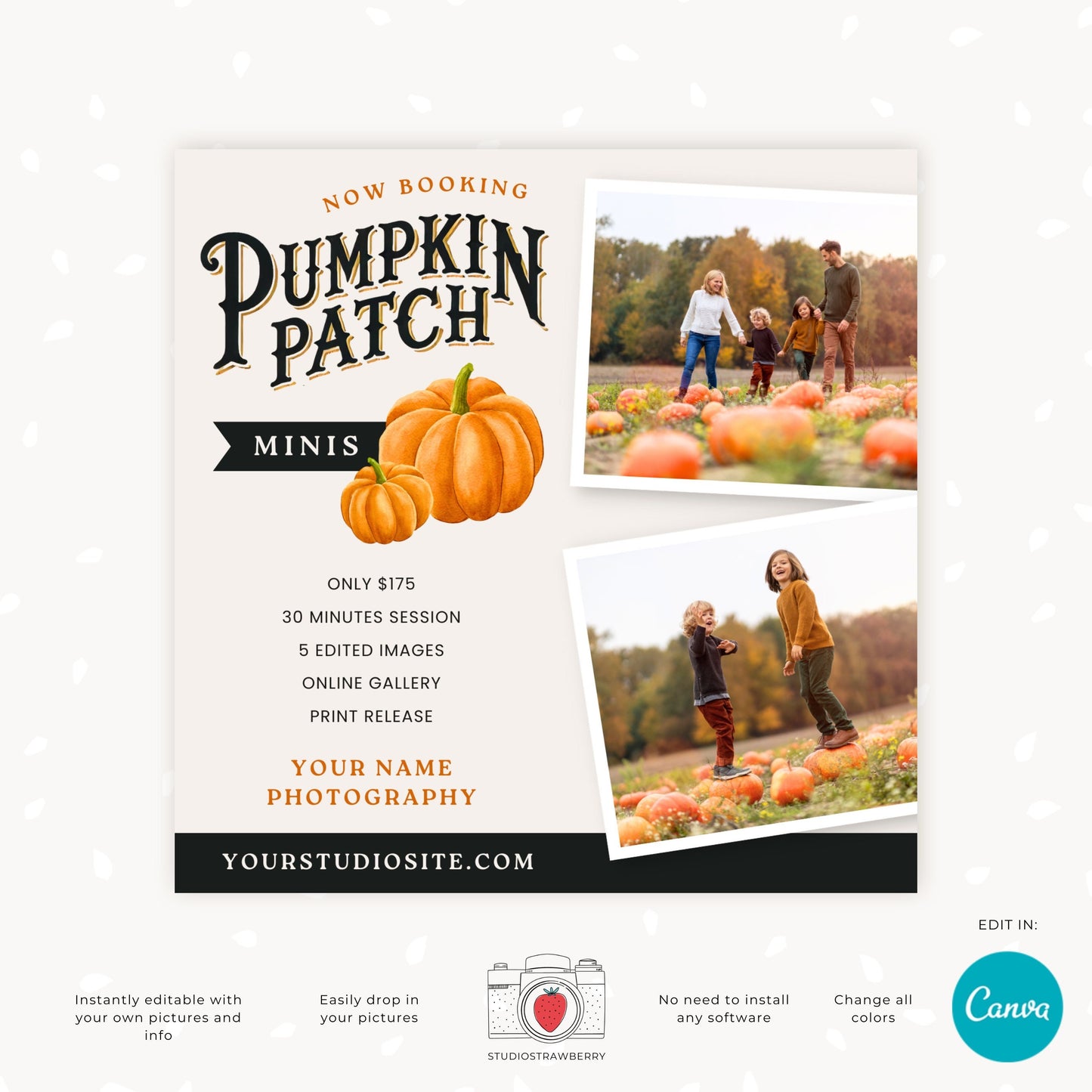 Editable Pumpkin Patch Mini Sessions Template | Customizable Canva Design for Fall Photography