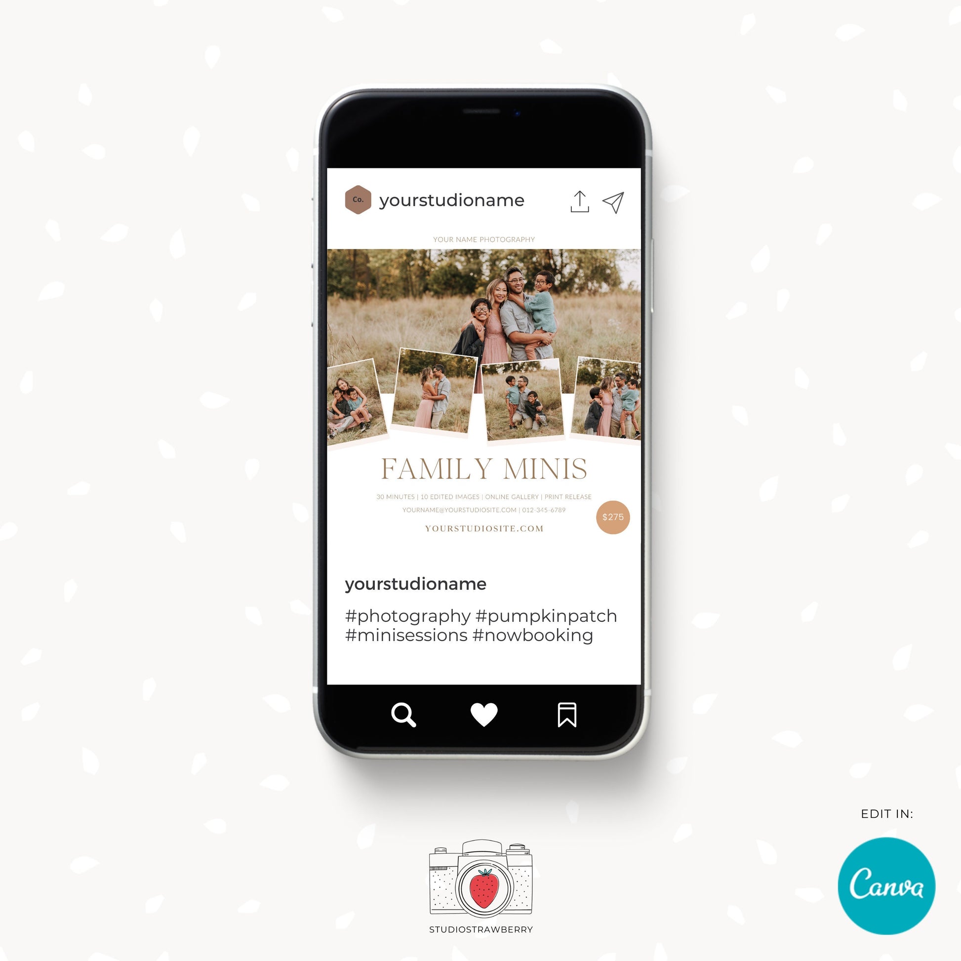 Editable Family Mini Sessions Template | Customizable Canva Design for Family Photography | C11