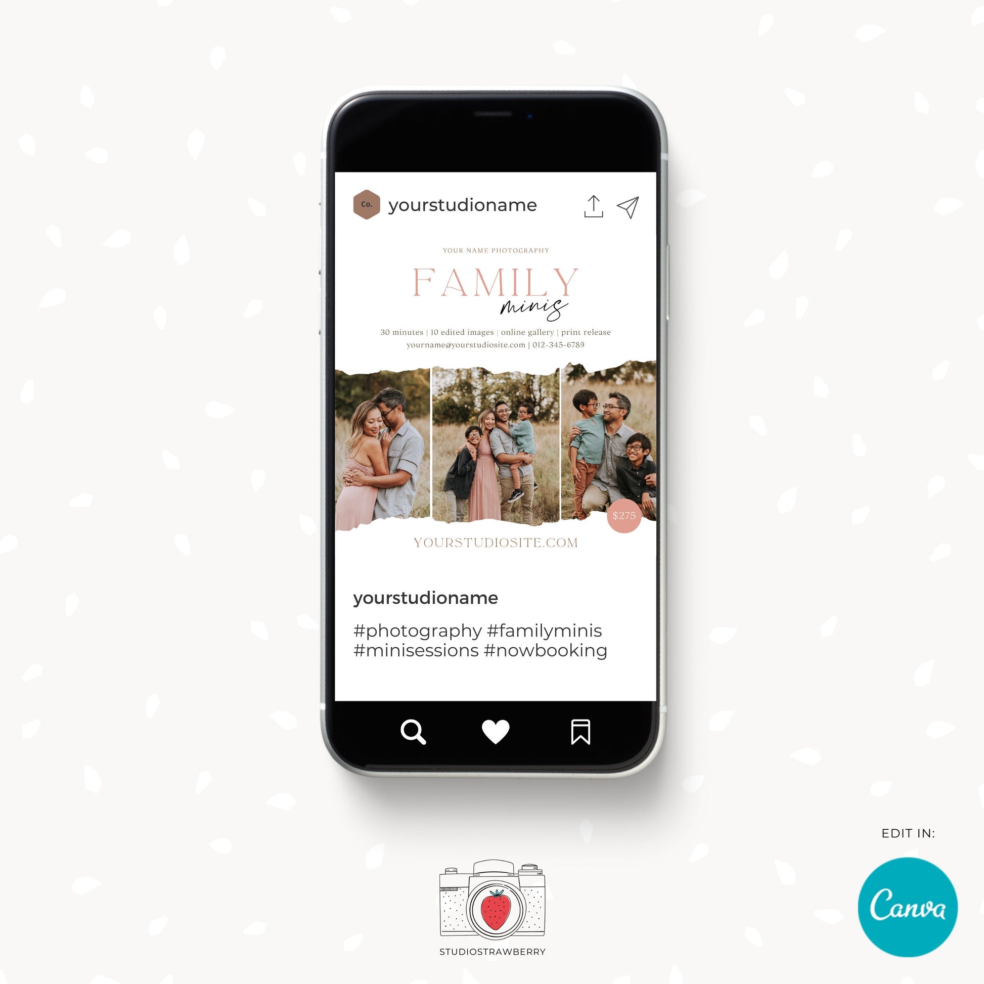 Editable Family Mini Sessions Template | Customizable Canva Design for Family Photography | C10