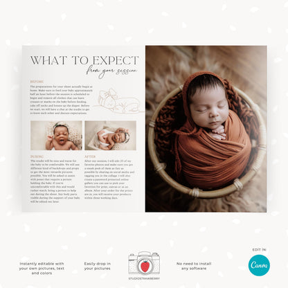 Fully editable Canva template for newborn photographers, showing pricing and packages.