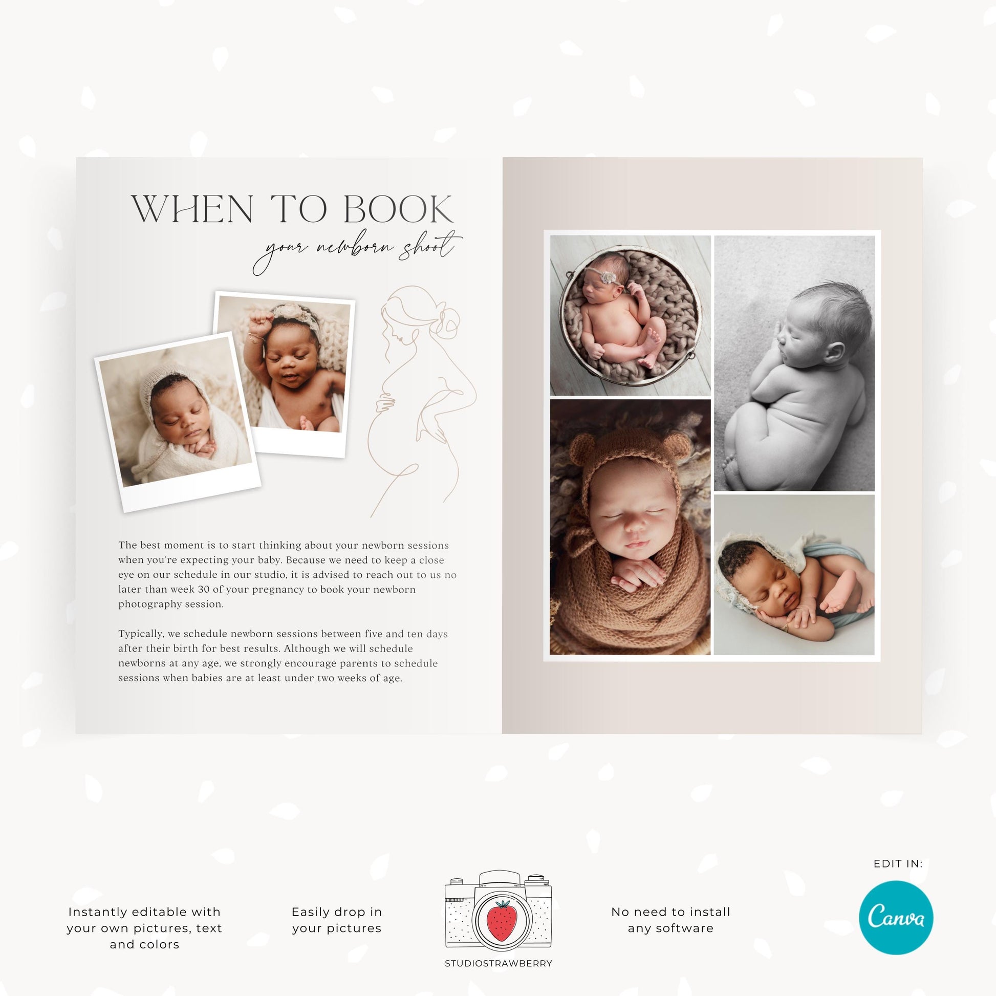 Canva newborn session guide showcasing session details and preparation tips.