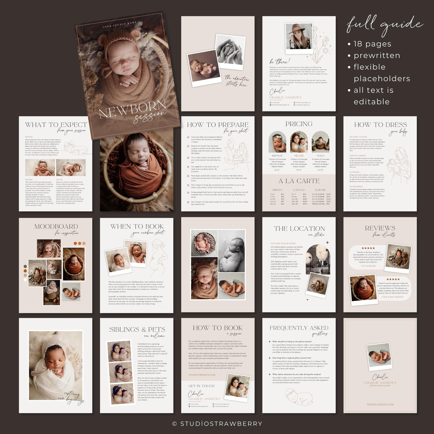 Canva newborn photography guide featuring preparation tips and client information.