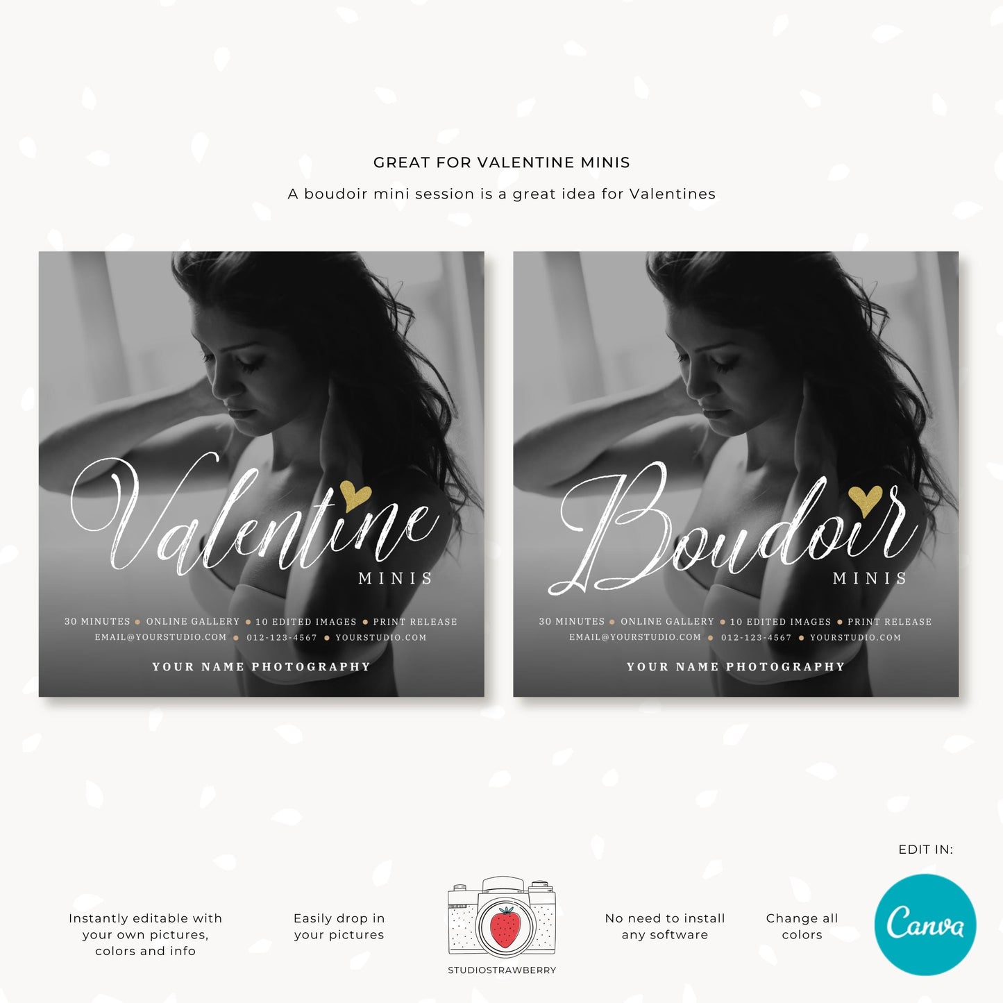 Canva editable flyer for promoting Valentine mini photography sessions.