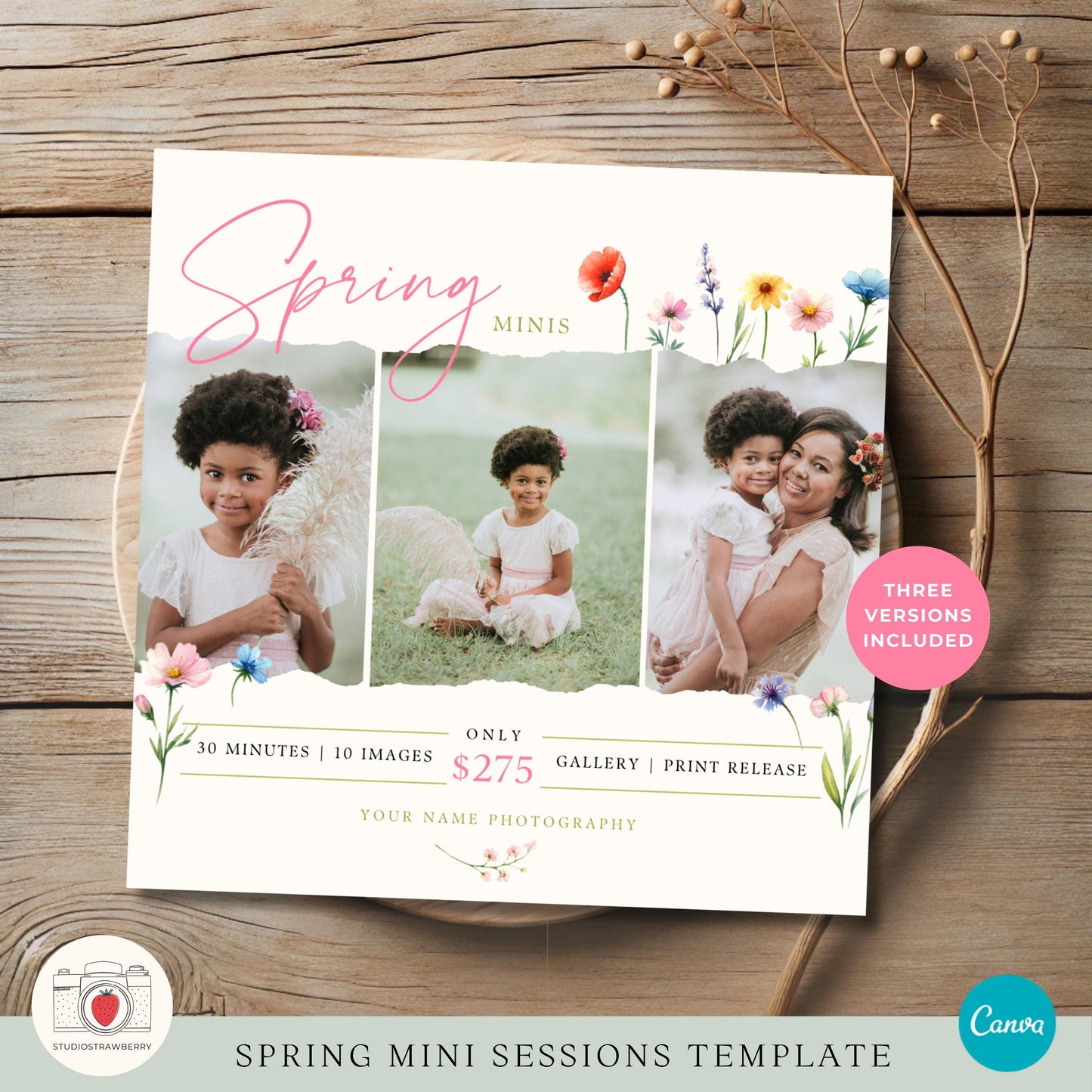 Canva template for seasonal mini sessions with customizable text.