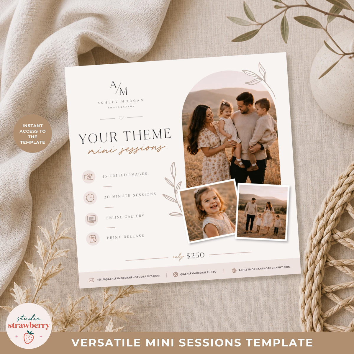 Modern photographer template for seasonal mini sessions and family photo shoots