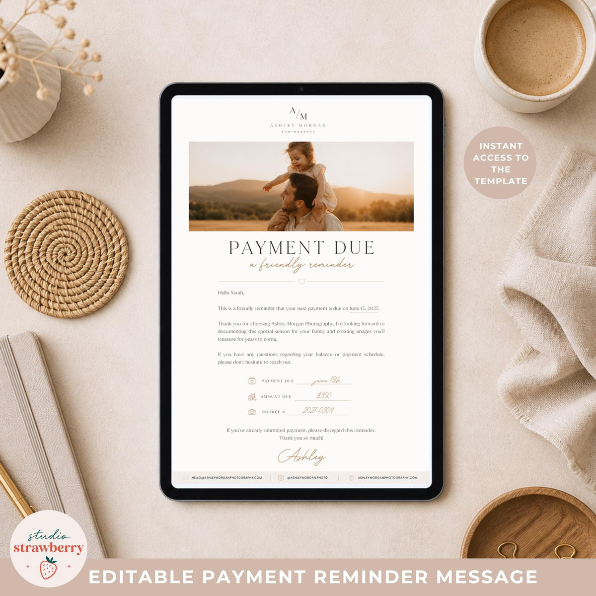 Client payment reminder template with customizable text, colors and branding elements