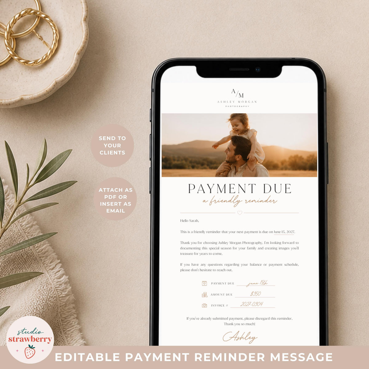 Photography payment reminder template designed in Canva for sending client payment notices