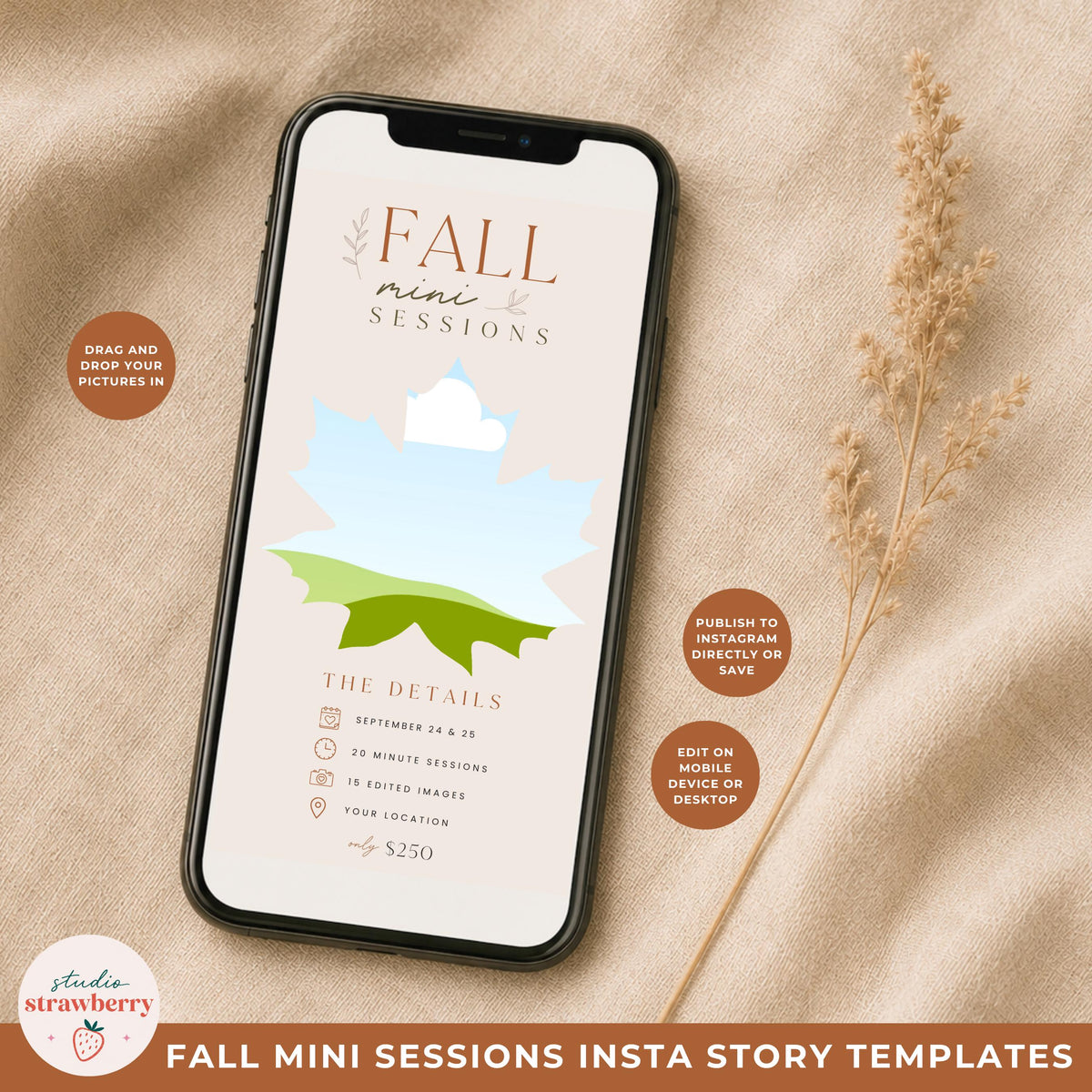 Phone mockup showing an editable fall mini session social media template with a leaf photo placeholder in Canva.