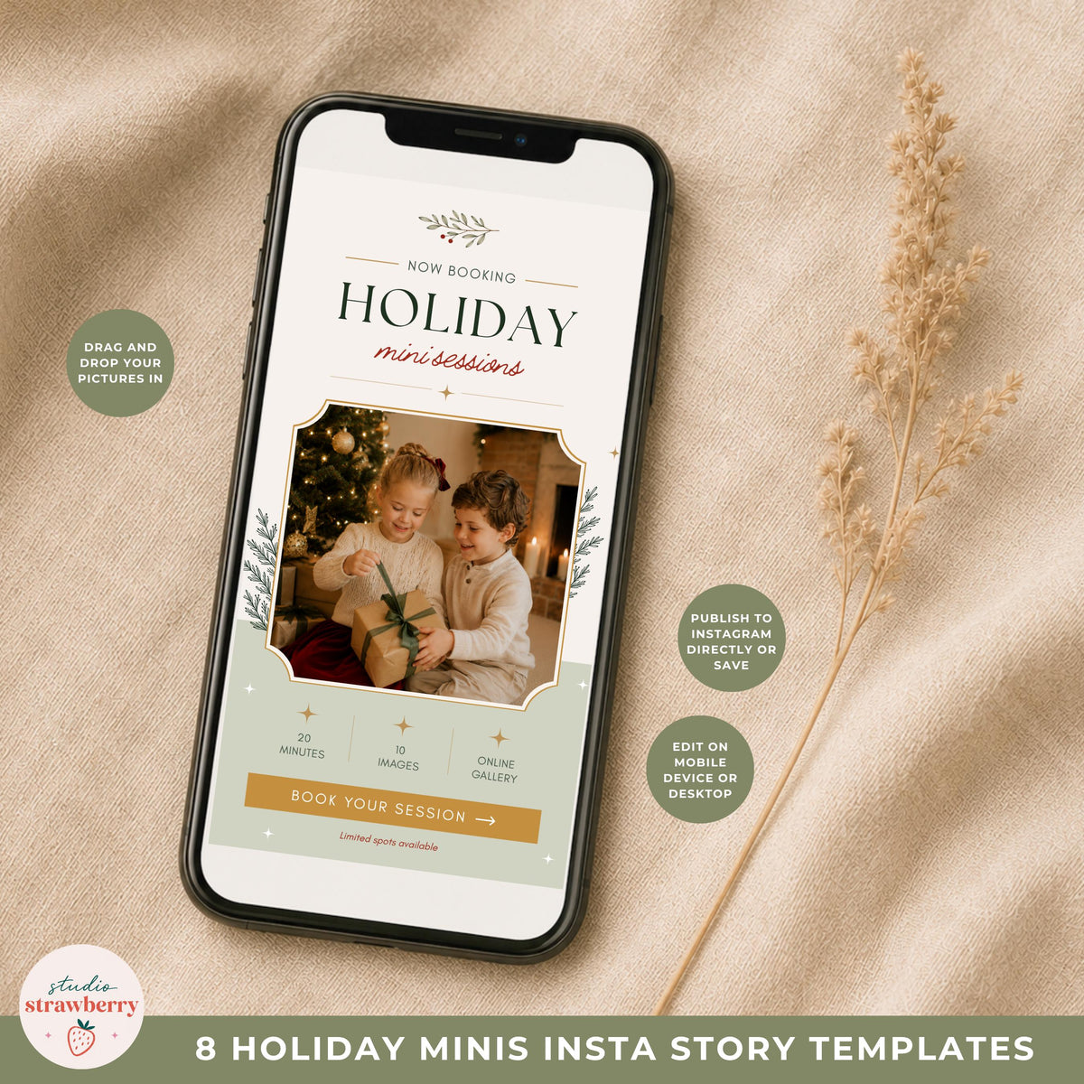 Phone mockup displaying a mini session booking Instagram story template with customizable photography, wording and colors.