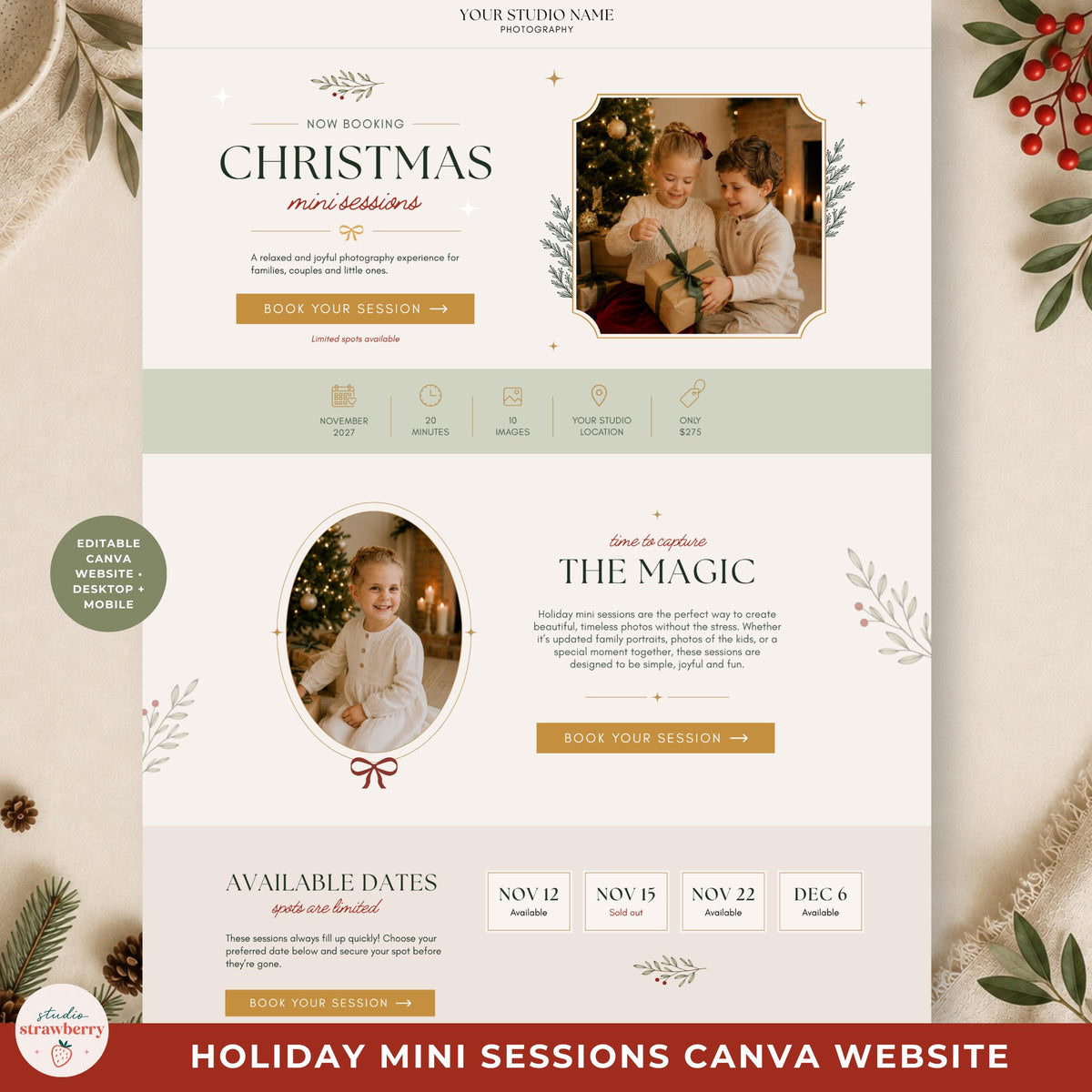 One-page holiday minis landing page showing how photographers can share details and bookings from one link.