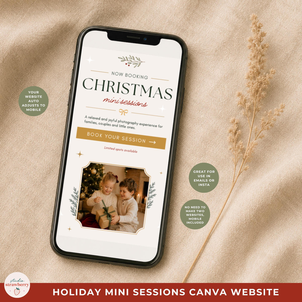 Holiday mini session website preview with What to Wear guidance and frequently asked questions for photography clients.