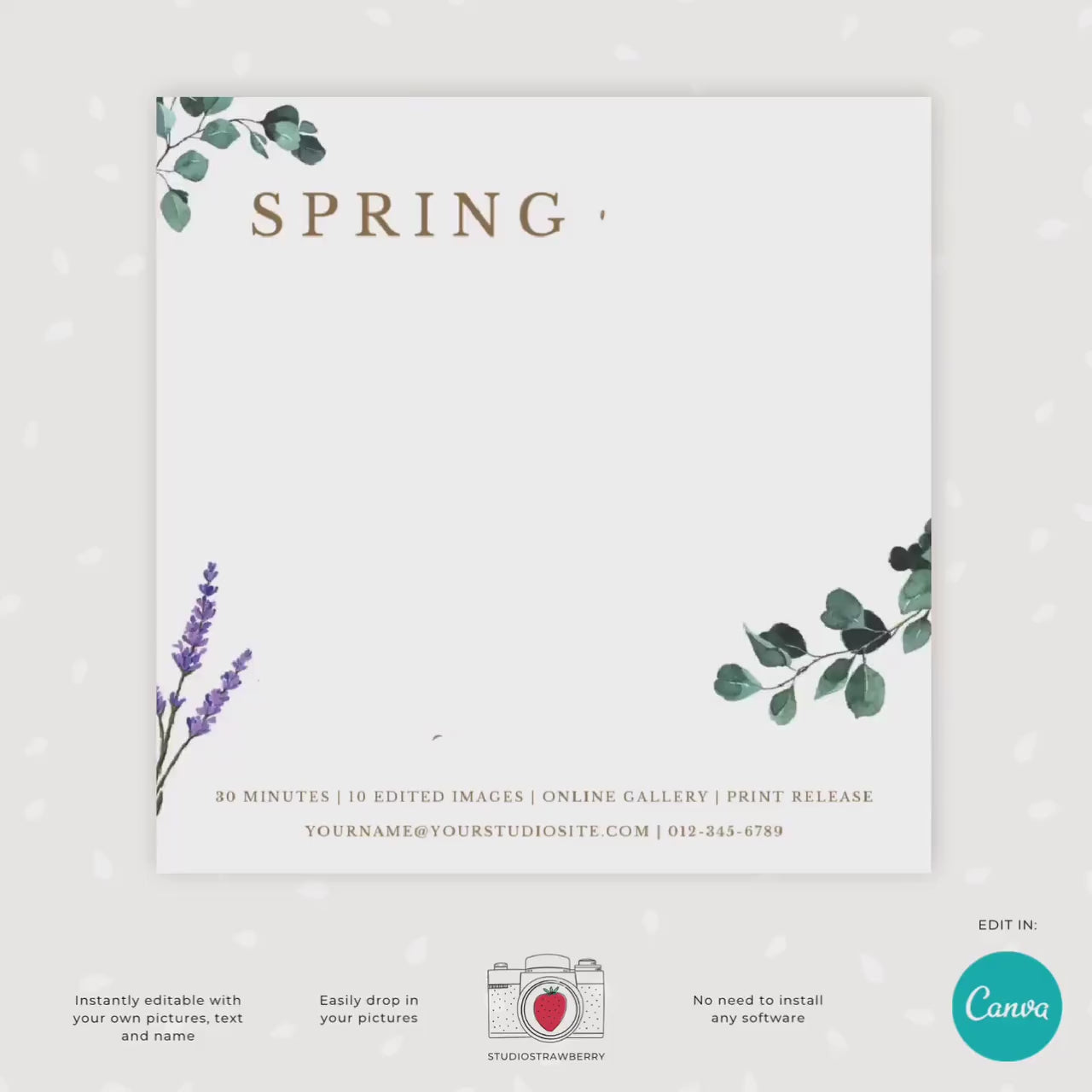 Animated Spring mini sessions template